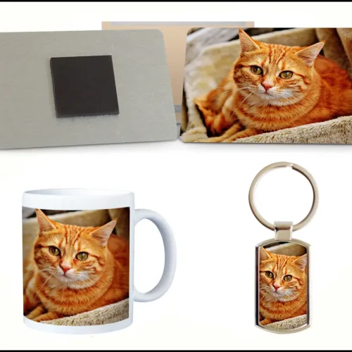 The image shows the different products included in the Personalised Pet Keepsakes basic bundle.